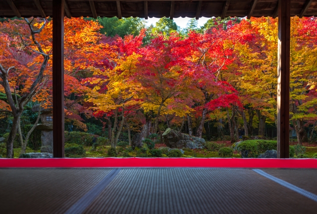 圓光寺の概要